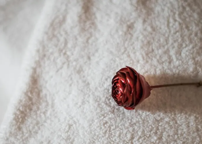 Dimora Delle Muse Montalcino